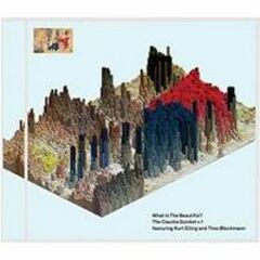 What Is The Beautiful? (CD)
