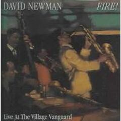 Fire! Live At The Village Vanguard (CD)