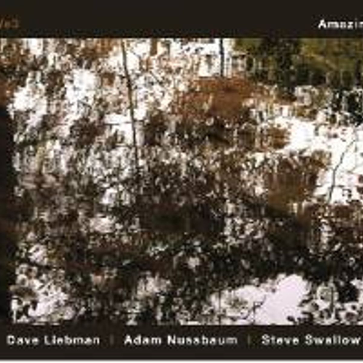 Amazing (CD)