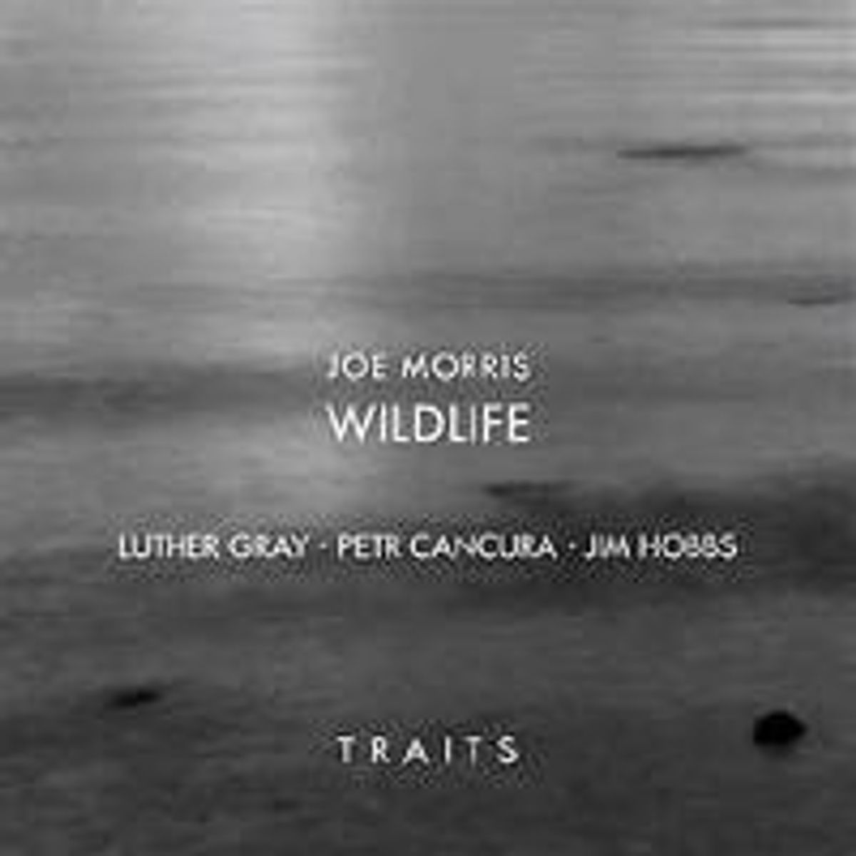 Traits (CD)