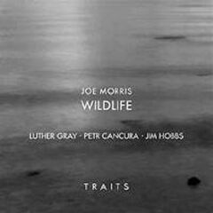 Traits (CD)