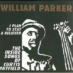 I Plan To Stay A Believer: The Inside Songs of Curtis Mayfield (CD)