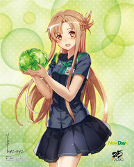 Dengeki Bunko 25th Anniversary Canvas Panel NewDays Uniform, Sword Art Online