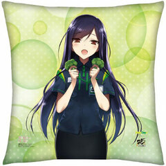 Dengeki Bunko 25th Anniversary Cushion NewDays Uniform, Accel World