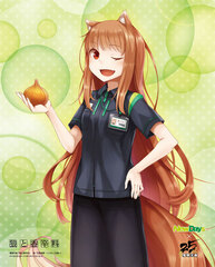 Dengeki Bunko 25th Anniversary Canvas Panel NewDays Uniform, Spice and Wolf