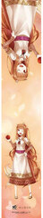 Dengeki Bunko 25th Anniversary Scarf Towel Spice and Wolf