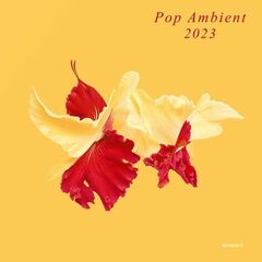 Pop Ambient 2023 (CD)