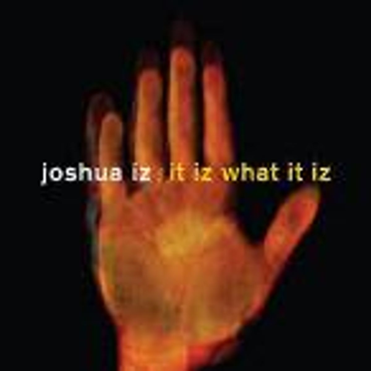 It Iz What It Was (CD)