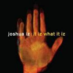 It Iz What It Was (CD)