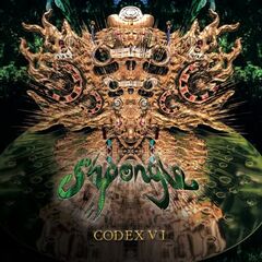 Codex VI (LP)