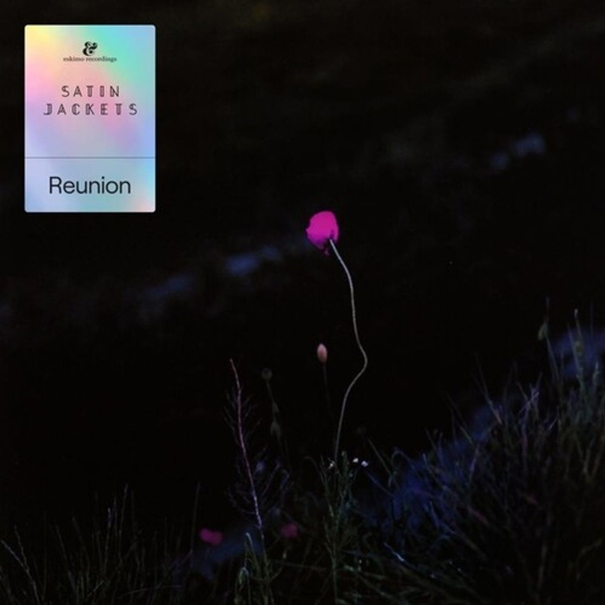 Reunion (LP)