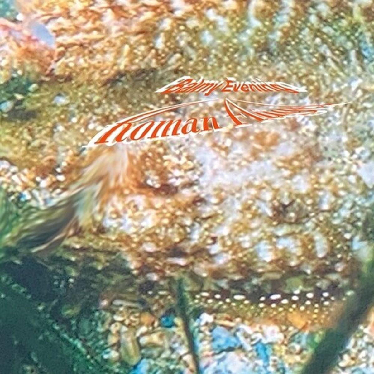Balmy Evening (LP)