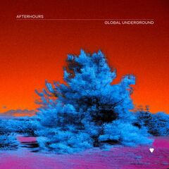 Global Underground: Afterhours 9 (CD)