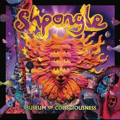Museum Of Consciousness (LP)