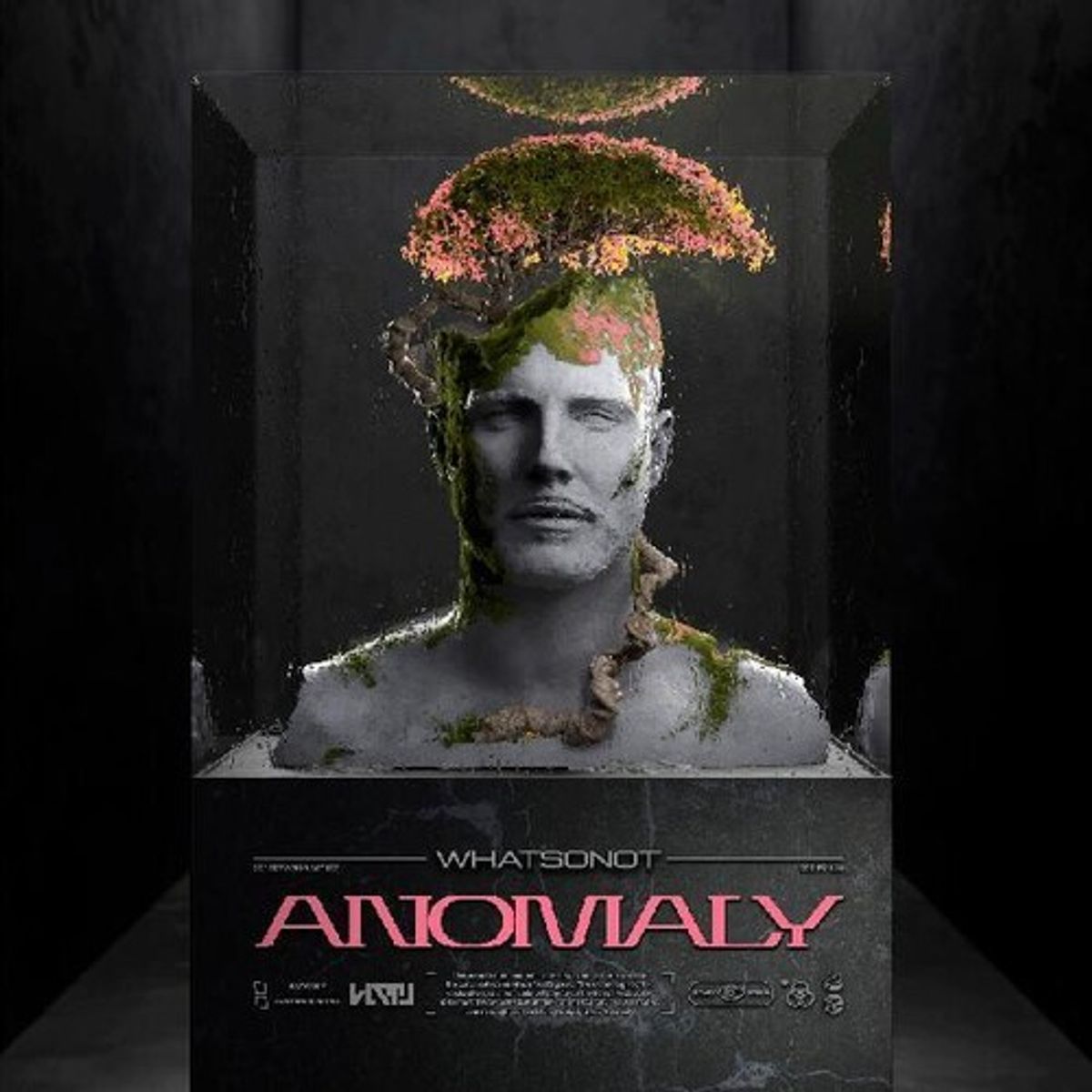 Anomaly (LP)