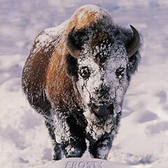 Frosty (CD)