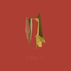 Cut Out Shape (CD)