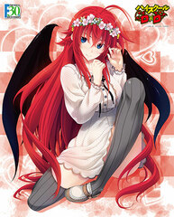 Axia Canvas Art Series No.047-F30th High School D x D 