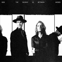The Silence In Between (LP)