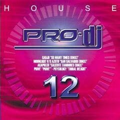 Pro-DJ House Vol. 12 (CD)