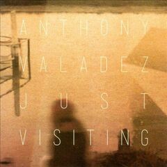 Just Visiting (CD)