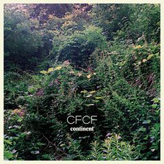 Continent [Clear Vinyl] (LP)