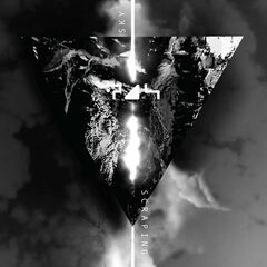 Sky Scraping (LP)