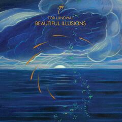 Beautiful Illusions (LP)