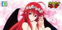 Axia Canvas Art Series No.048-F30th High School D x D 