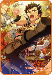 Ensemble Stars! - Visual Blanket vol.1 (8) Tetora Nagumo