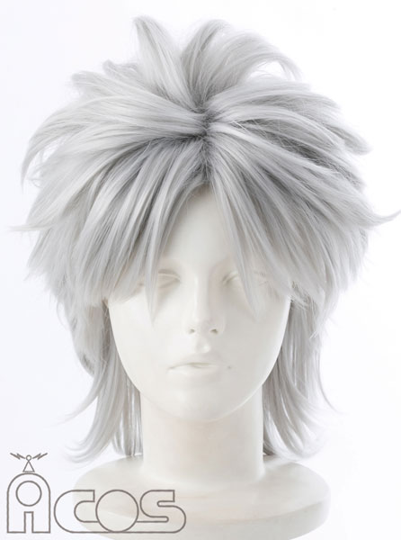 Character Wig - Fate/Apocrypha: Anime Ver. Shirou Kotomine