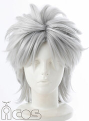 Character Wig - Fate/Apocrypha: Anime Ver. Shirou Kotomine