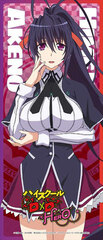 High School D x D HERO Durable Waterproof Sticker Akeno Himejima