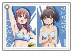 Harukana Receive Synthetic Leather Pass Case A