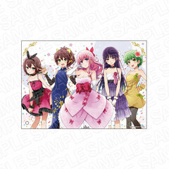 Baka to Test to Shokanjuu Mini Acrylic Art Party ver.