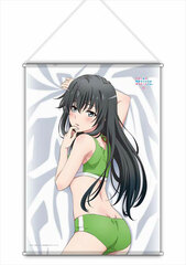 My Teen Romantic Comedy SNAFU. Completion New Illustration B2 Wall Scroll Yukino (Sportswear)