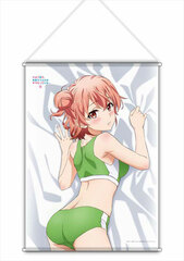 My Teen Romantic Comedy SNAFU. Completion New Illustration B2 Wall Scroll Yui (Sportswear)