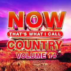 NOW Country Vol. 14 (CD)