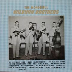 The Wonderful Wilburn Brothers (CD)