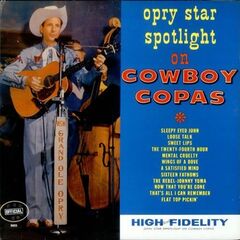 Opry Star Spotlight (CD)
