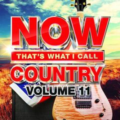 Now That's What I Call Country Vol. 11 (CD)