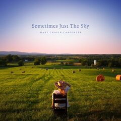Sometimes Just The Sky (LP)