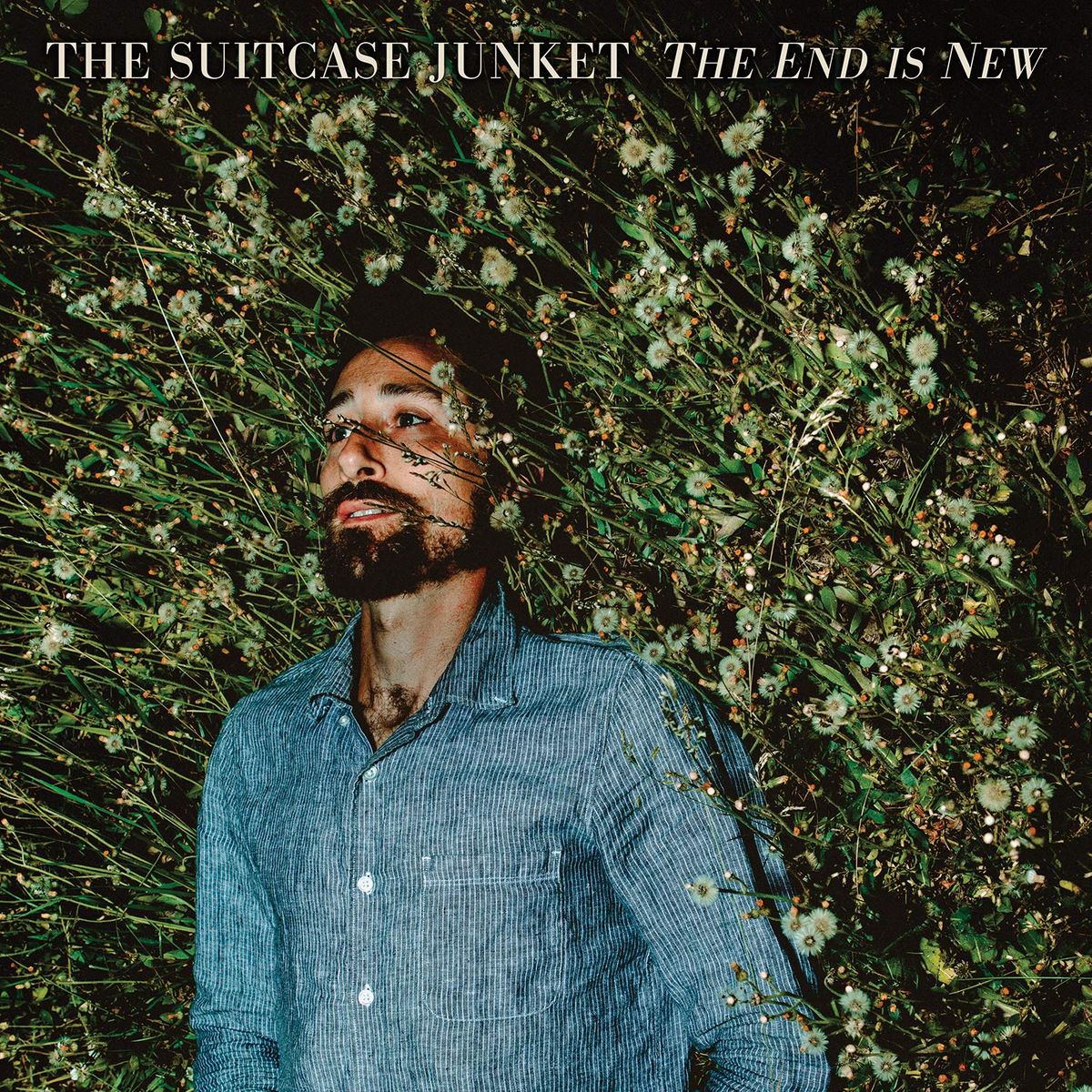 The End Is New (LP)