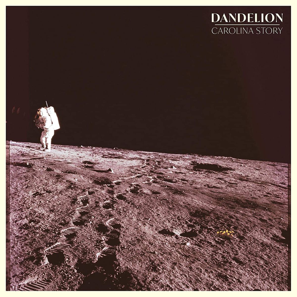Dandelion (CD)