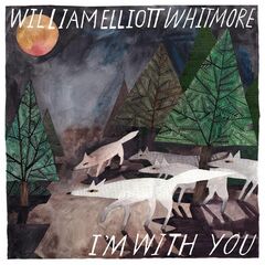 I'm With You (LP)