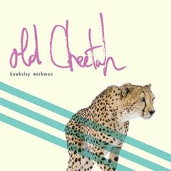 Ambassador (CD)