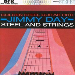 Golden Steel Guitar Hits: Steel & Strings (CD)