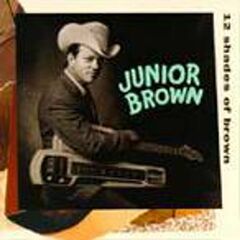 12 Shades Of Brown (CD)