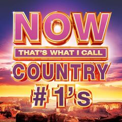 Now That's What I Call Country #1s (CD)