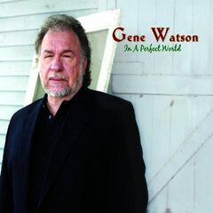 In A Perfect World (CD)